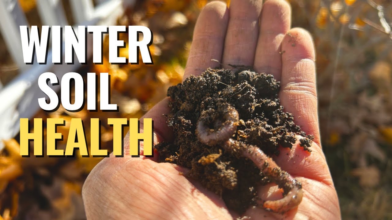 5 Pro Tips to keep your Garden Soil HEALTHY in Winter (2026) - YouTube