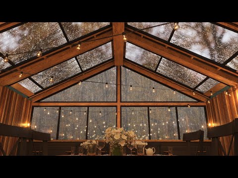 Cafe in the forest with a lot of rain | heavy rain