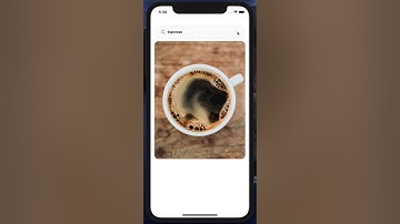 Animated Search View in React Native