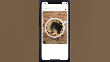 Animated Search View in React Native
