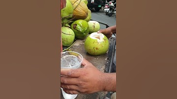 Best Machetes for Coconut Opening: A Practical Comparison