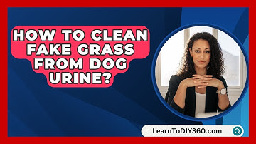 How To Clean Fake Grass From Dog Urine? - LearnToDIY360.com