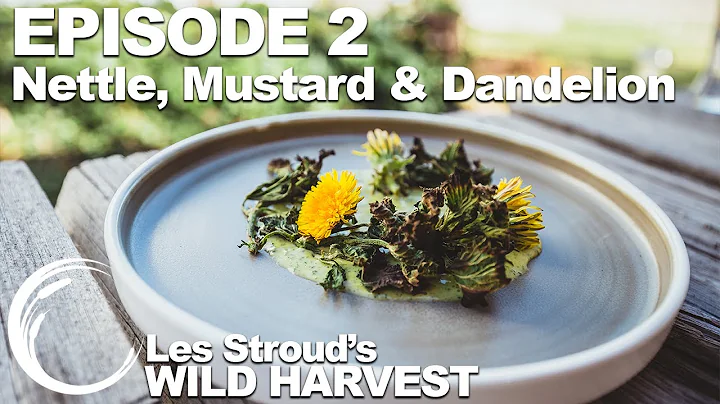 Wild Harvest | Season 2 | Episode 2 | Nettle, Must...