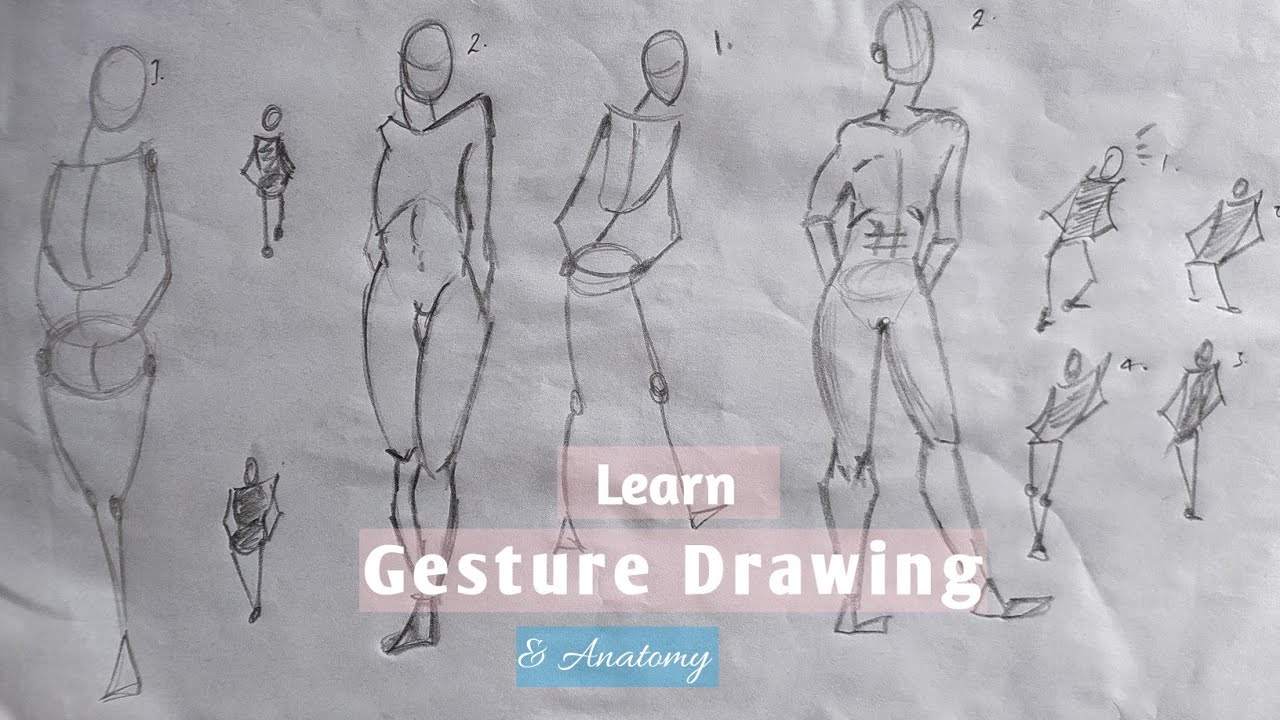 How to draw human body gesture drawing | anatomy drawing of human body ...
