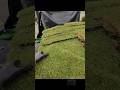 Laying down this beautiful Bermuda sod. #Bermuda #sod #installation #lawncare #transformation
