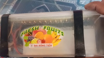 Ae có nhu Cầu xin vui lòng liên hệ số điện thoại 0902379435