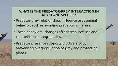 What Is The Predator-prey Interaction In Keystone Species? - Ecosystem Essentials