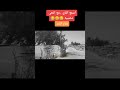 الناعي محمد الموالي مع الناي ستوريات انستا حالات واتساب