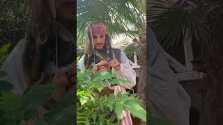 Captain Jack Sparrow Thanks You