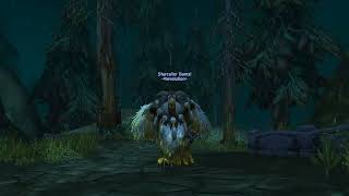 Bumzi Is The Real Deal