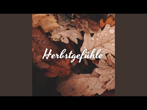 hqdefault.jpg
