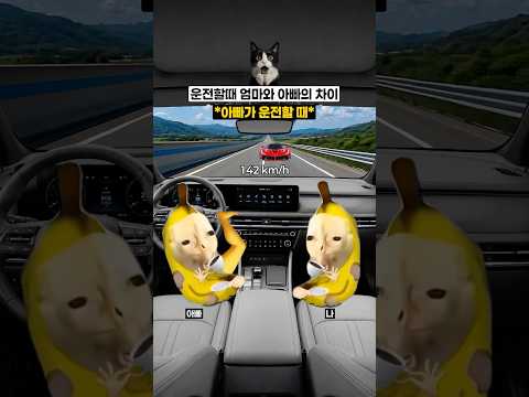 운전할때 엄마와 아빠의 차이 🚘 thumbnail