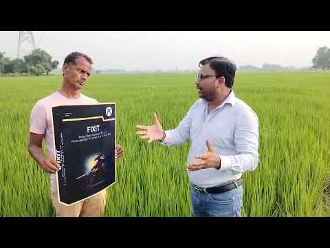 🌾 “FIXIT इस्तेमाल किया, फसल में साफ फर्क दिखा!” | किसान की जुबानी