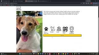 PetConnect Demonstration video screenshot 1