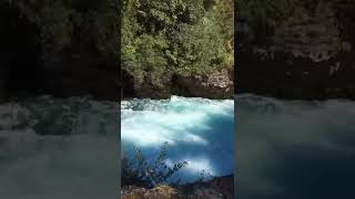 Huka Falls || Things to do in Taupo || #newzealand #hukafalls #shorts