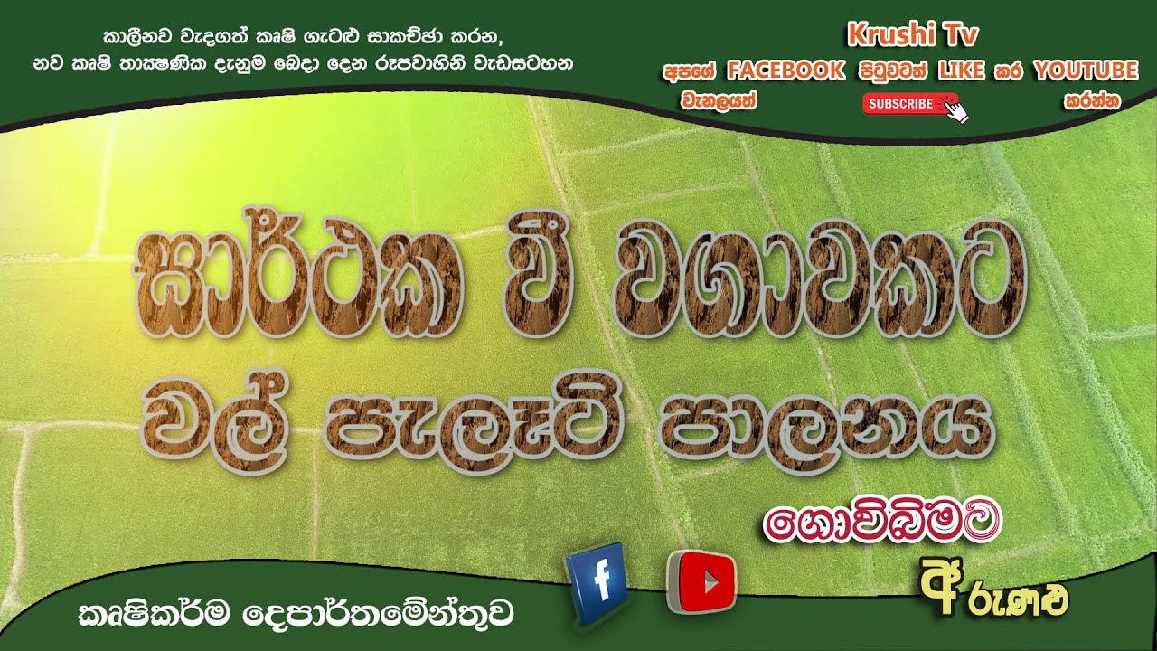 Govibimata Arunalu TV Program | සාර්ථක වි වගාවකට වල් පැලැටි පාලනය | 2021-09- 26 | Krushi Tv