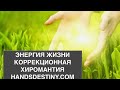 Энергия жизни. Коррекционная хиромантия.