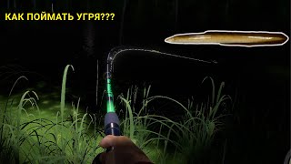 :   ???   ,   !