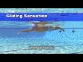 Seven sensations to swim graceful freestyle introduction