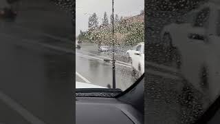 Accident on the 210 frwy West during Tropical Storm Hilary