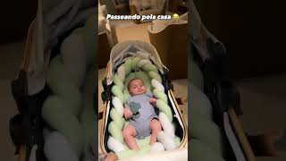 Ravizinho passeando pela casa