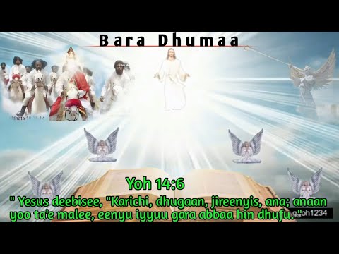 𝙈𝘼𝙍𝘼𝘼𝙉𝘼𝙏𝘼 𝙔𝙀𝙎𝙐𝙐𝙎 𝙃𝙄𝙉 𝘿𝙃𝙐𝙁𝘼𝘼 𝘿𝙃𝙐𝙈𝘼𝘼 𝘽𝙄𝙔𝙔𝘼 𝙇𝘼𝙁𝘼𝘼 𝙈𝙄𝙇𝙄𝙆𝙄𝙏𝘼 𝘽𝘼𝙍𝘼 𝘿𝙃𝙐𝙈𝘼