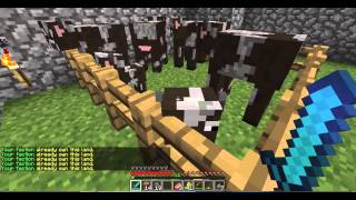 spudcraft server review