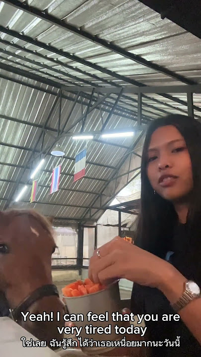A Hungry Horse! พี่ม้าหิว