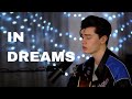 Roy orbison  in dreams cover by elliot james reay
