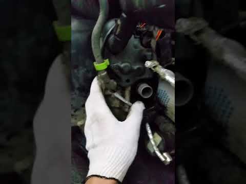 Установка, диагностика, ремонт вебасто WEBASTO +7 915 095 77 20