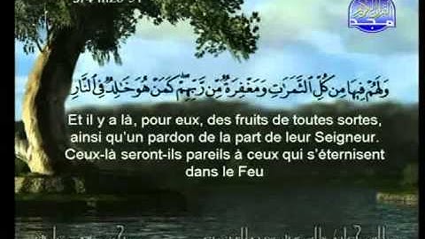 سورة محمد الشيخ السديس والشريم