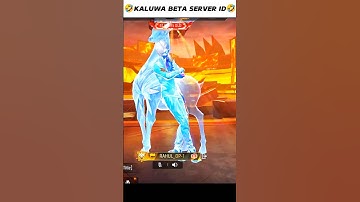 Kalua Pro Player 😂 - para SAMSUNG A3,A5,A6,A7,J2,J5,J7,S5,S6,S7,SA10,A20,A30,A50,A70 /// FREEFIR