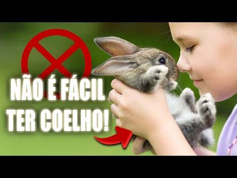 Vídeo: Quanto tempo os filhotes devem ficar com a mãe?