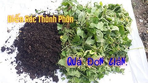 Cách Biến Rác Thải Bỏ Đi Thành Nguồn Phân Bón Hữu Cơ Tại Nhà Cho Cây Trồng.