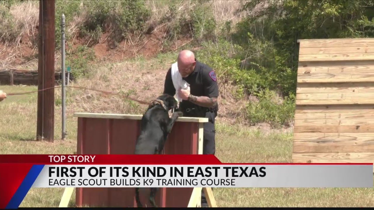 Eagle Scout candidate brings first East Texas K9 training course to ...