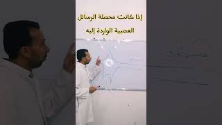 الادماج العصبي  مع الأستاذ لزهر عزيزي(النقل المشكي) التنظيم العصبي السنة الثانية علوم تجريبية #علوم