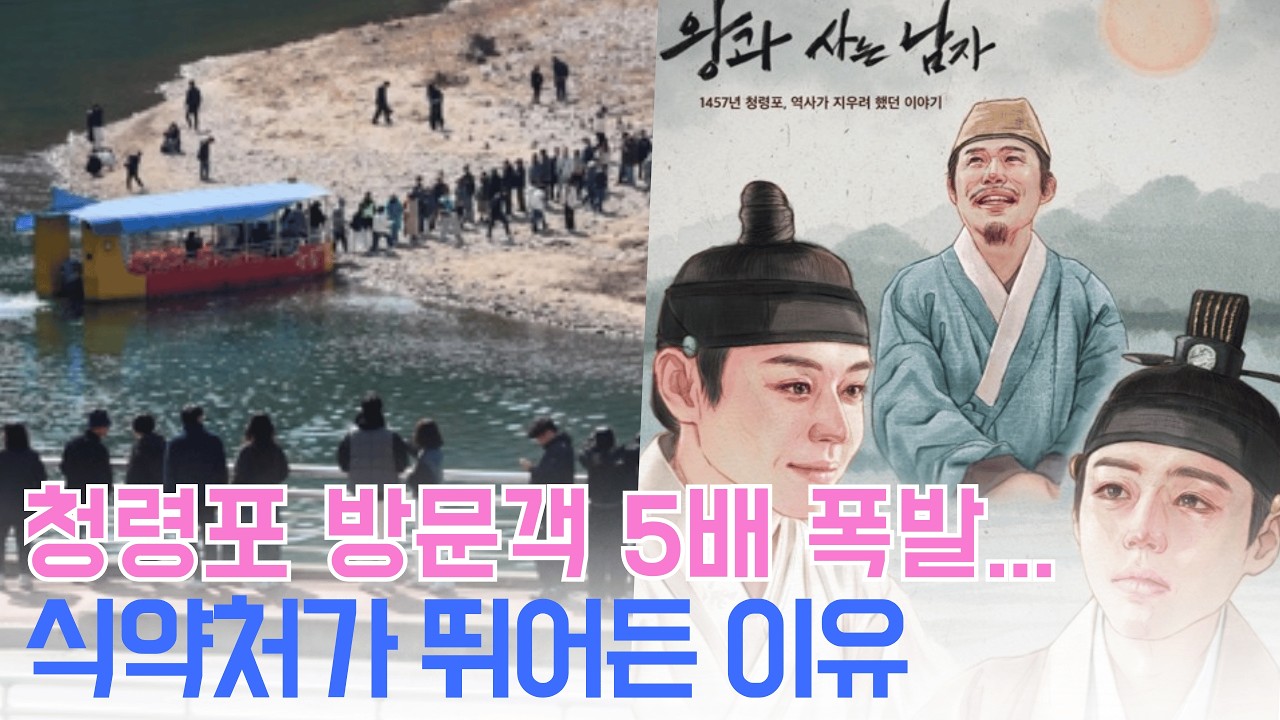 '왕과 사는 남자' 촬영지 영월 청령포, 갑자기 전국 1위 관광지가 된 충격적인 이유