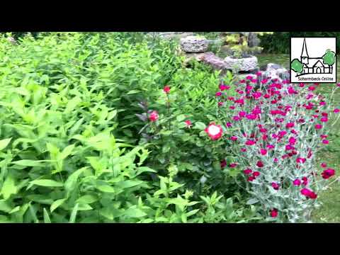 blühendes-paradies--garten-paus-in-schermbeck