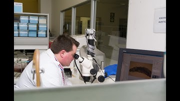 How to prepare and package your samples for testing