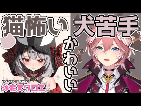 猫が怖い沙花叉クロヱ、犬が苦手な鷹嶺ルイ。二人の同居に大きな障害が立ちふさがる。果たして愛の行方は？【切り抜き/ホロライブ6期生/holoX/ホロックス/鷹嶺ルイ】