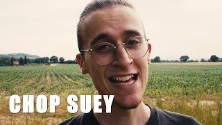 SYSTEM OF A DOWN - Chop Suey! (WAY TOO HAPPY ACOUSTIC COVER)