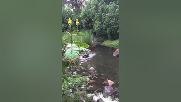 Axial Wraith   Water Proof Test Part 2