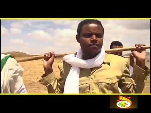 ቪዲዮ: አስትሮ ኦርቢተር በዲዝኒላንድ፡ ማወቅ ያለብዎት ነገሮች