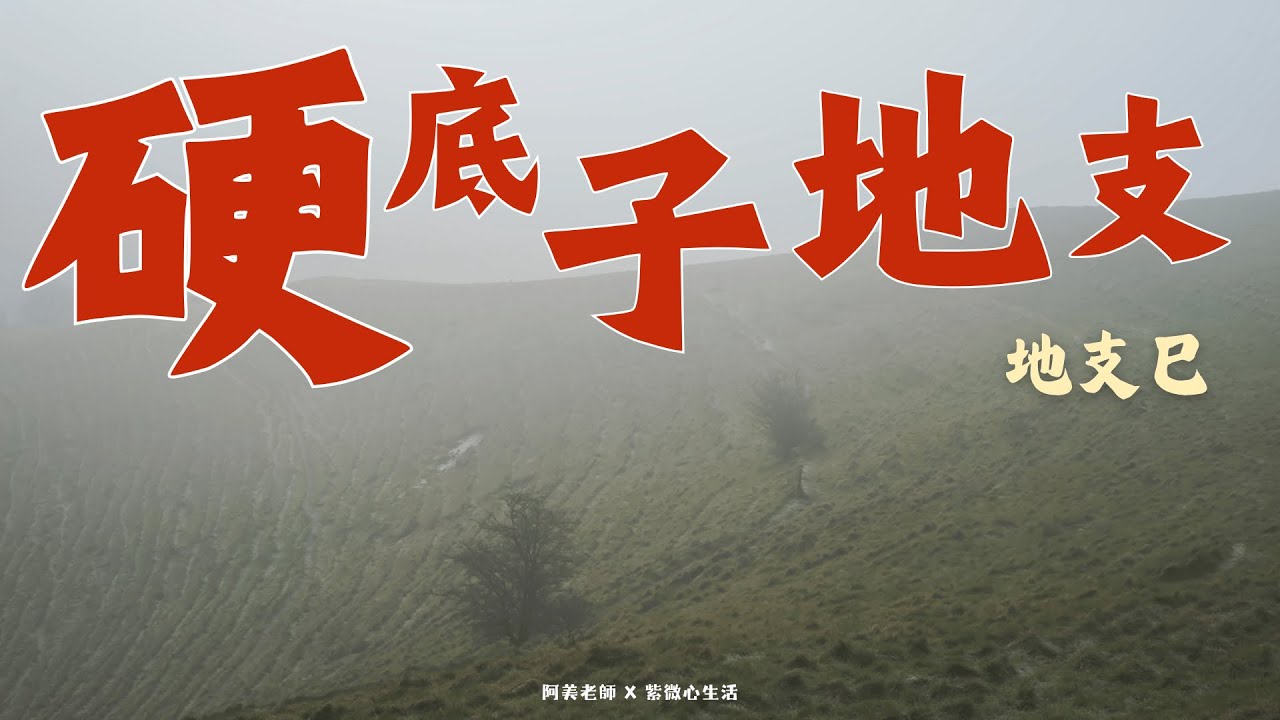 地支的隱藏性格：地支巳，追求完美的緊繃型人格，地支巳如何從自我要求中找回平靜｜硬底子地支