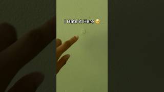 Help me please 🙏🏽 if you love me just like the video..🖤