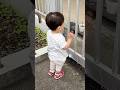 🍎Mugi waves to Grandma and Grandpa before his morning walk!(1y7m27d No.5)
