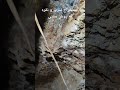 استخراج سرب و نقره به روش سنتی در یکی از معادن استان مرکزی   