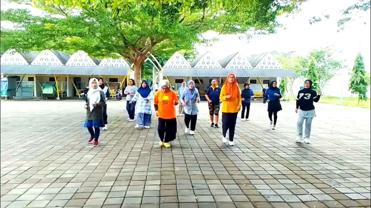 More Than I Can Say Line Dance / Coreo. May Cho (KOR) / Demo. Cheerful LD and Frend