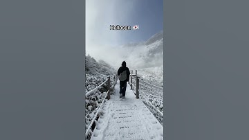 Thumbnail of Most Beautiful Places in South Korea 🇰🇷 | #shorts #travel #explore #nature #viral #adventure
