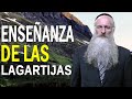 La Enseñanza de las Lagartijas